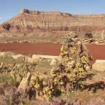 Sulla route 15 verso lo Zion Nationa Park